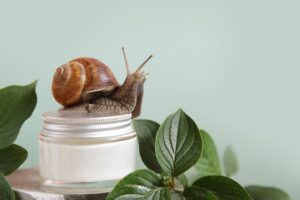 snail on top of snail mucin jar